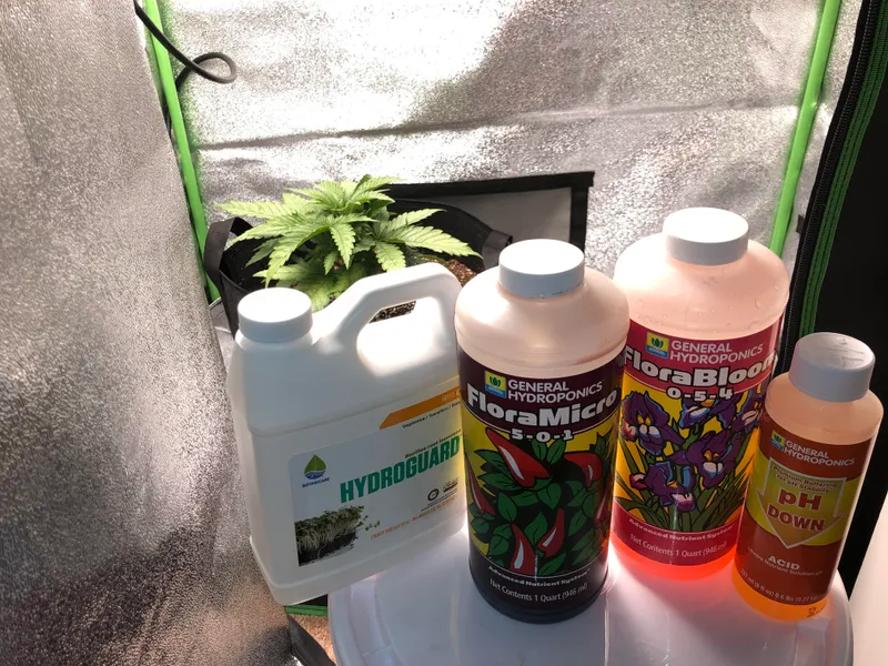 Best Hydroponics Nutrients | Lucas Formula