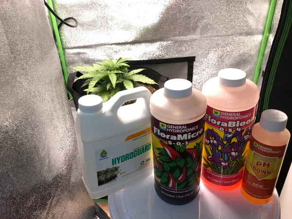 Best Hydroponics Nutrients | Lucas Formula